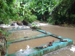Intake Sungai Tombang Keruh/banjir